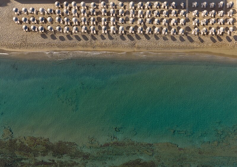 mare